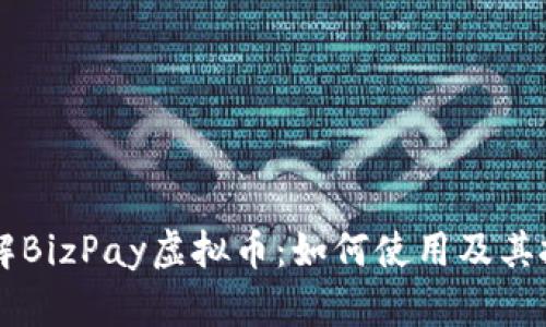 深入了解BizPay虚拟币：如何使用及其投资潜力