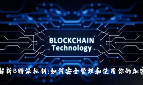 深入解析B特派私钥：如何安全管理和使用你的加密资产